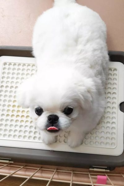 Molly-11.jpg