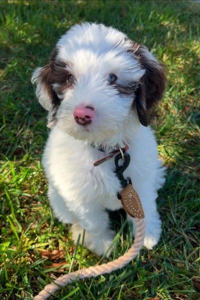 Murphy-37.jpg