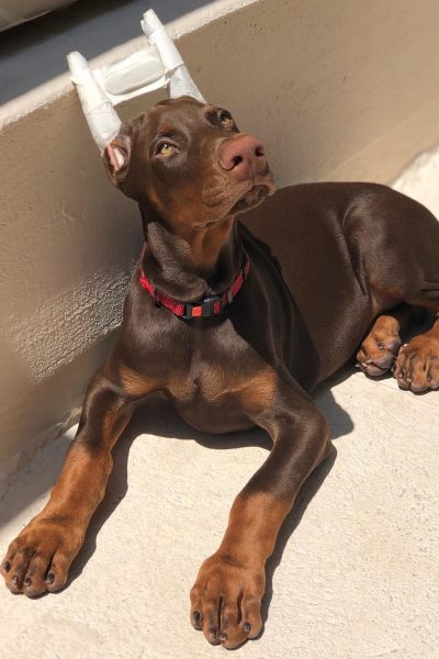 Rocky-47.jpg